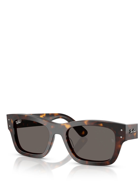 Ray-Ban Ray-Ban Sluneční brýle 0RB7683S Hnědá