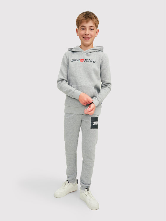 Felpa Corp Old Logo 12212186 Grigio Regular Fit