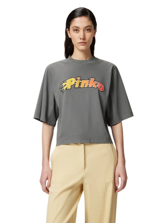 PINKO PINKO T-Shirt Niamey t-shirt jersey tinto Szary Comfort Fit