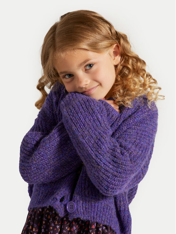 Coccodrillo Coccodrillo Кардиган ZC4172201AGK Фіолетовий Regular Fit