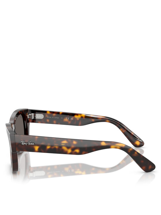 Ray-Ban Ray-Ban Saulesbrilles 0RB7683S Brūns