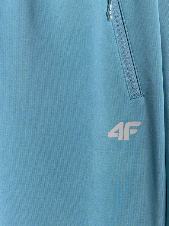 4F 4F Spodnie dresowe VICTORY PACK Regular Fit