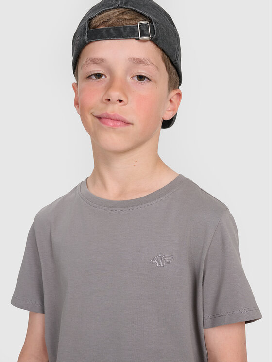 4F 4F T-Shirt BASIC+ Szary ciemny Regular Fit