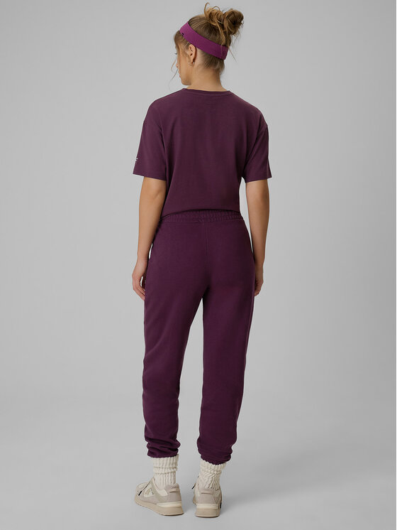 4F 4F Spodnie dresowe basic Fioletowy Regular Fit