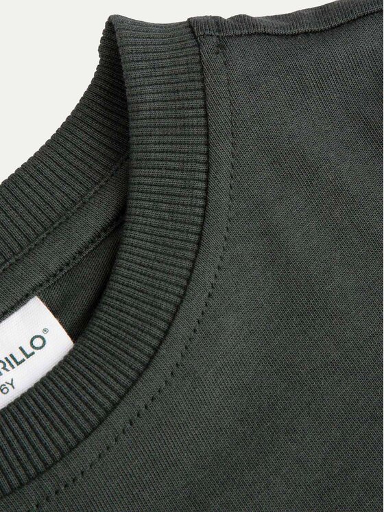 Coccodrillo Coccodrillo Футболка ZC4143201LBD Зелений Regular Fit