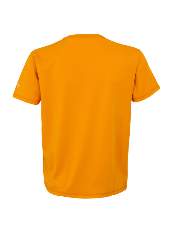 Regatta Regatta T-Shirt Alvarado IX Złoty Short Fit