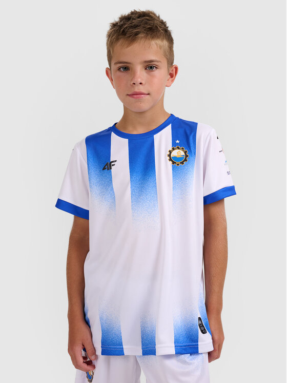 4F 4F Koszulka techniczna TEAMWEAR Kolorowy Regular Fit