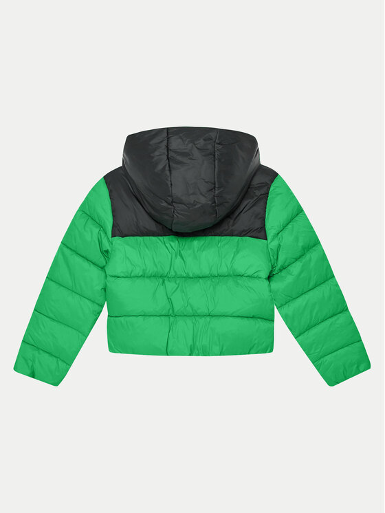 4F 4F Зимова куртка 4FJWAW24TDJAM462 Зелений Regular Fit