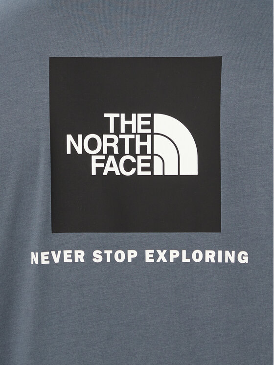 The North Face The North Face Longsleeve Evolution Box Nse NF0A8B68 Grigio Regular Fit