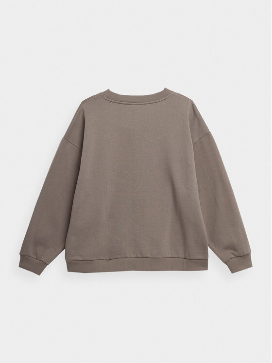 Outhorn Outhorn Felpa OTHAW23TSWSF0733 Marrone Regular Fit