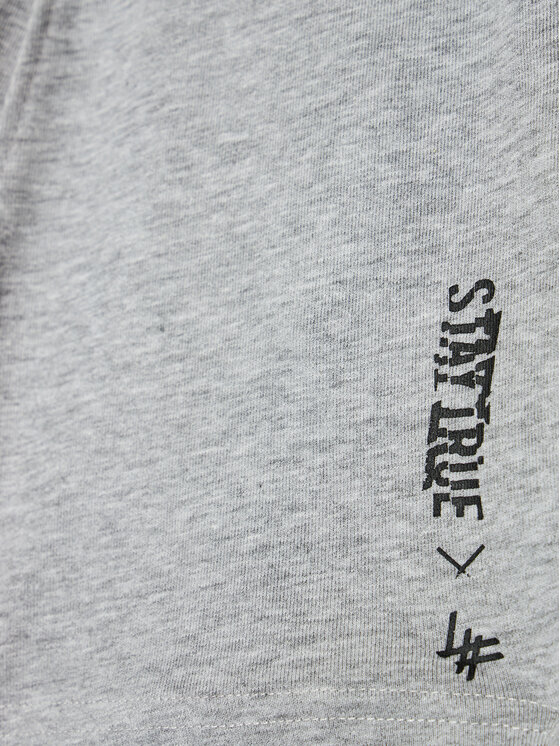 4F 4F Szorty sportowe HJL21-JSKMD003B Szary Regular Fit