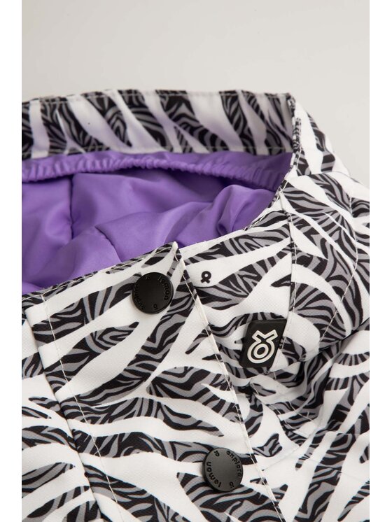 Lemon Explore Lemon Explore Kurtka narciarska ZL6152105OSG-022 Kolorowy Regular Fit