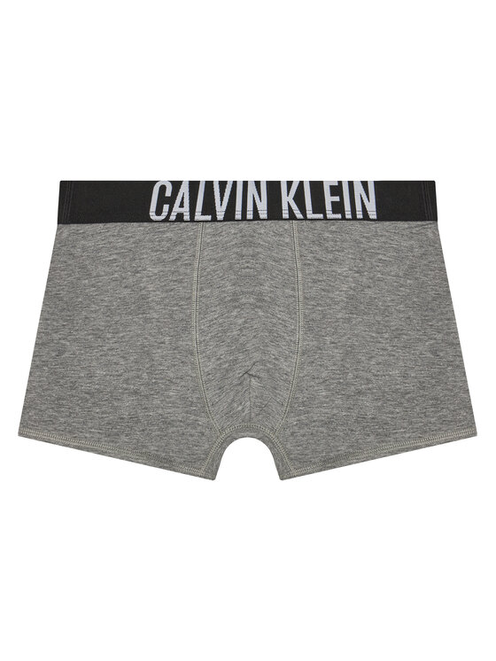 Calvin Klein Underwear Calvin Klein Underwear 2er-Set Boxershorts B70B700509 Bunt