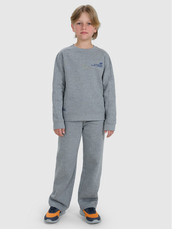 4F 4F Bluza BASIC+ Szary Regular Fit
