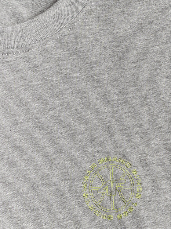 4F 4F Longsleeve FLUID EXPRESSIONS Szary Regular Fit