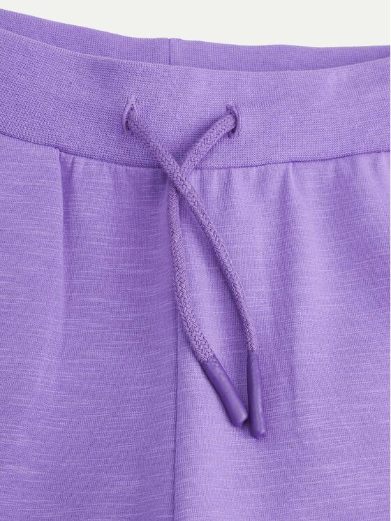 Coccodrillo Coccodrillo Jogginghose ZC4120101VGA Violett Regular Fit