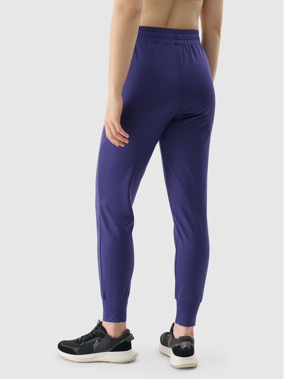 4F 4F Spodnie dresowe BASIC+ Granatowy Regular Fit