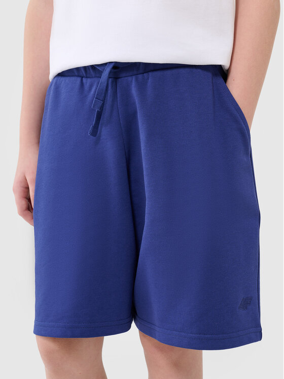 4F 4F Spodnie dresowe BASIC+ Niebieski Oversize
