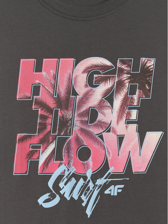 4F 4F T-Shirt CATCH THE WAVE Szary ciemny Regular Fit