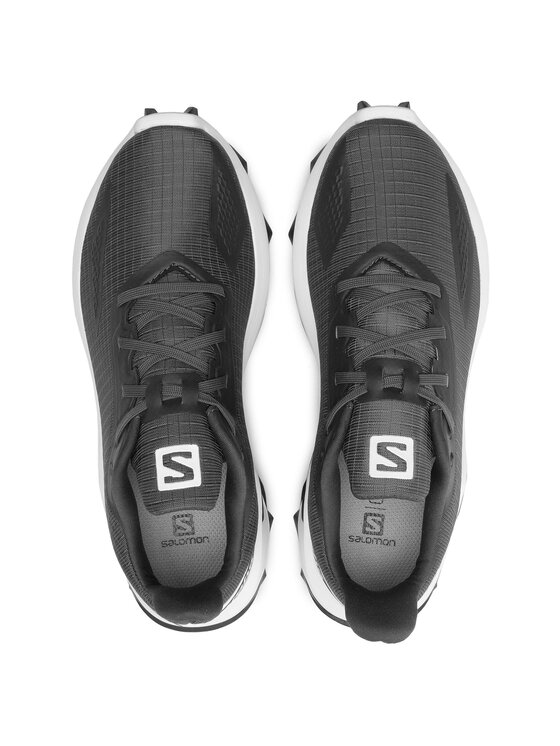 Salomon Salomon Bėgimo batai Alphacross Blast W 411038 21 V0 Pilka