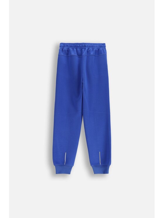 Lemon Explore Lemon Explore Spodnie dresowe WL6120101ACB-014 Niebieski Regular Fit