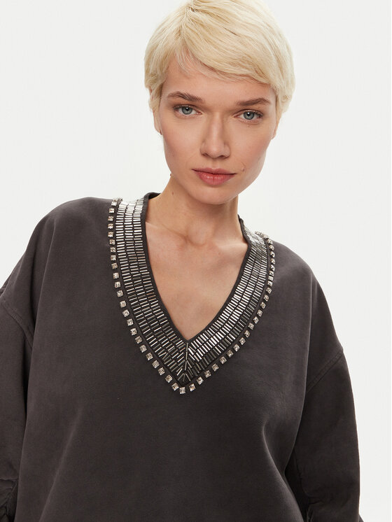PINKO PINKO Світшот Raboni 104458 A297 Сірий Regular Fit