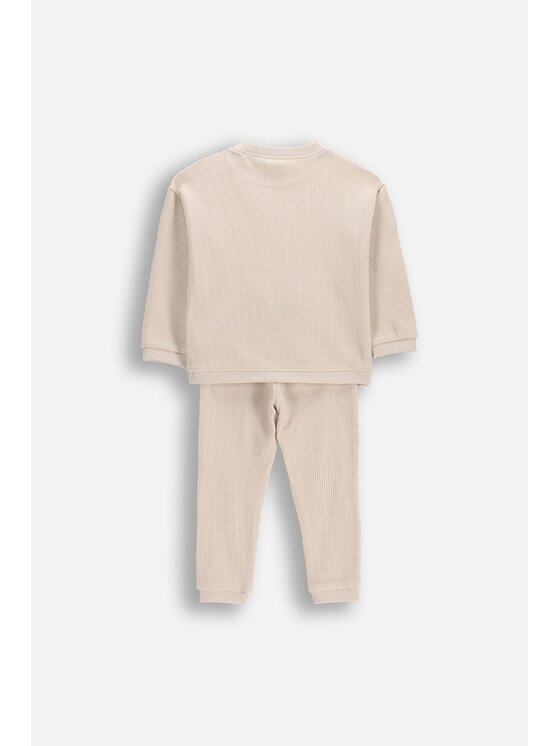 Coccodrillo Coccodrillo Zestaw dla niemowląt WC6117301SUN-003 Kremowy Regular Fit