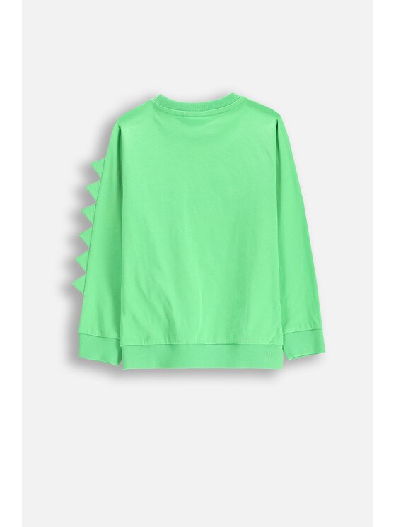Coccodrillo Coccodrillo T-Shirt WC5143102DBK-011 Zielony Regular Fit