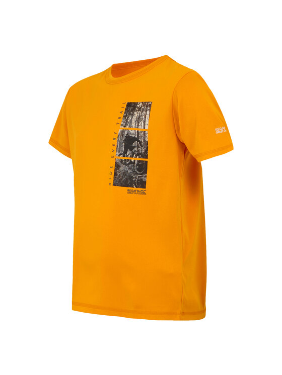 Regatta Regatta T-Shirt Alvarado IX Złoty Short Fit