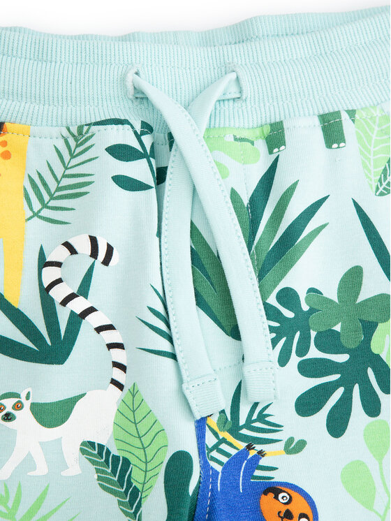 Coccodrillo Coccodrillo Sportshorts WC5121503TBN Grün Regular Fit