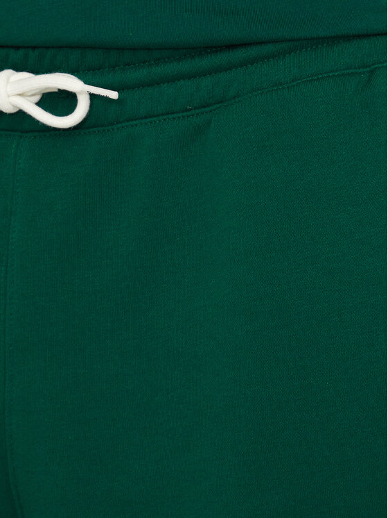Reebok Reebok Αθλητικό σορτς Court Sport 100075659 Πράσινο Regular Fit
