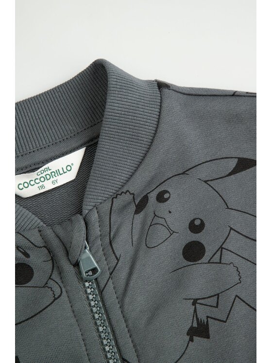 Coccodrillo Coccodrillo Mikina ZC6132201LBD-020 Šedá Regular Fit