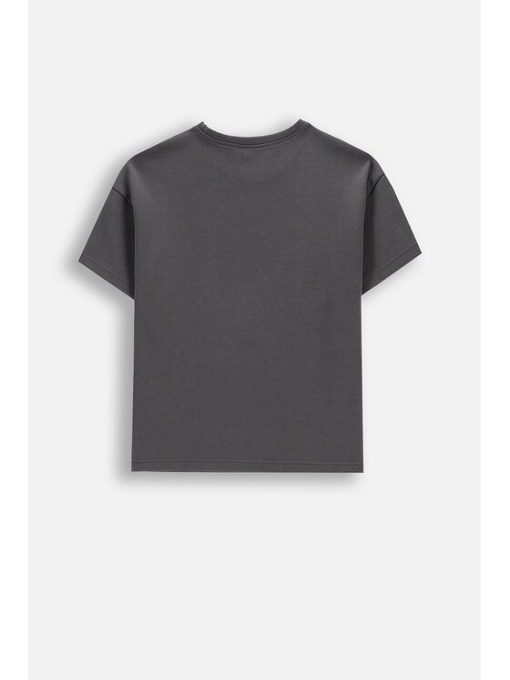 Coccodrillo Coccodrillo T-Shirt WC6143202HGJ-020 Szary Regular Fit