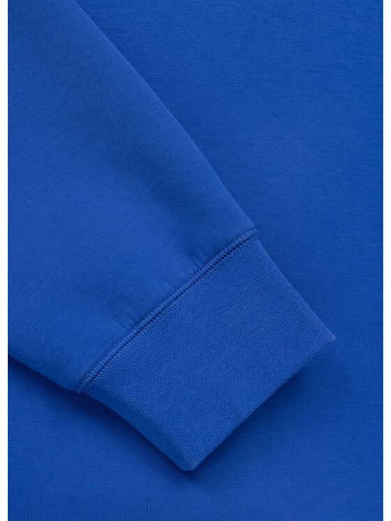 PITBULL PITBULL Bluza DOGWOOD Niebieski Regular Fit