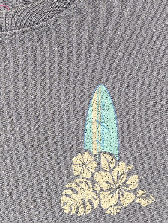 4F 4F T-Shirt SUMMER SPLASH Szary Loose Fit