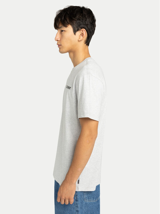 Element Element T-Shirt Blazin Chest ELYZT00595 Grau Regular Fit
