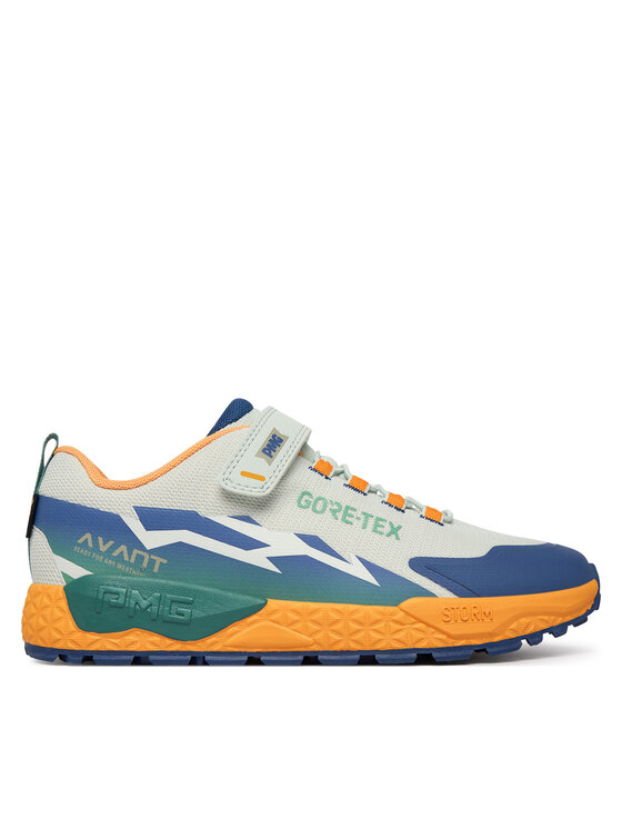 Primigi Primigi Sneakers AVANT Gtx 1431033 D Grigio