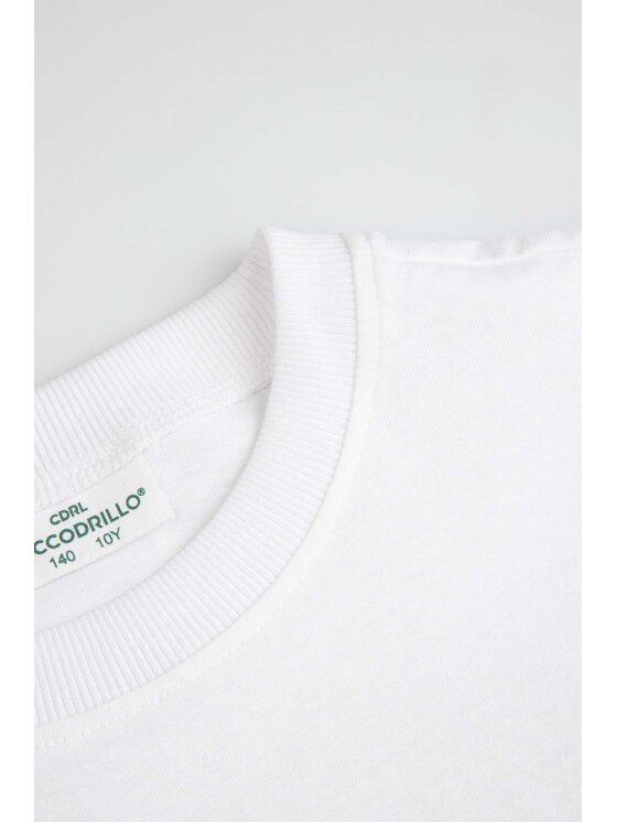 Coccodrillo Coccodrillo Komplet t-shirt i spodenki WC6117418XXG-022 Kolorowy Regular Fit