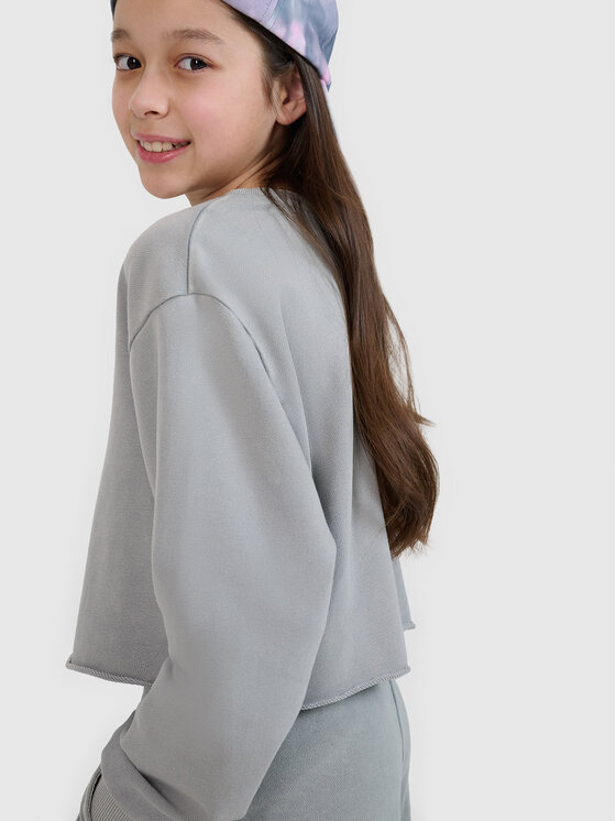 4F 4F Bluza SWELLS OF THE OCEAN Szary Oversize