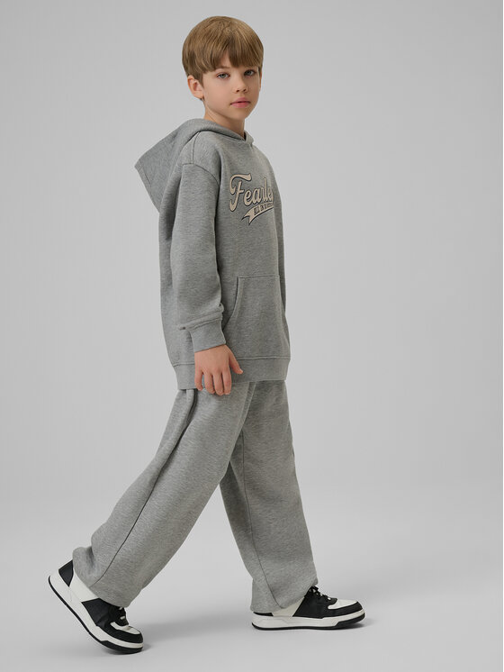 4F 4F Bluza CAMPUS VIBES Szary jasny Loose Fit