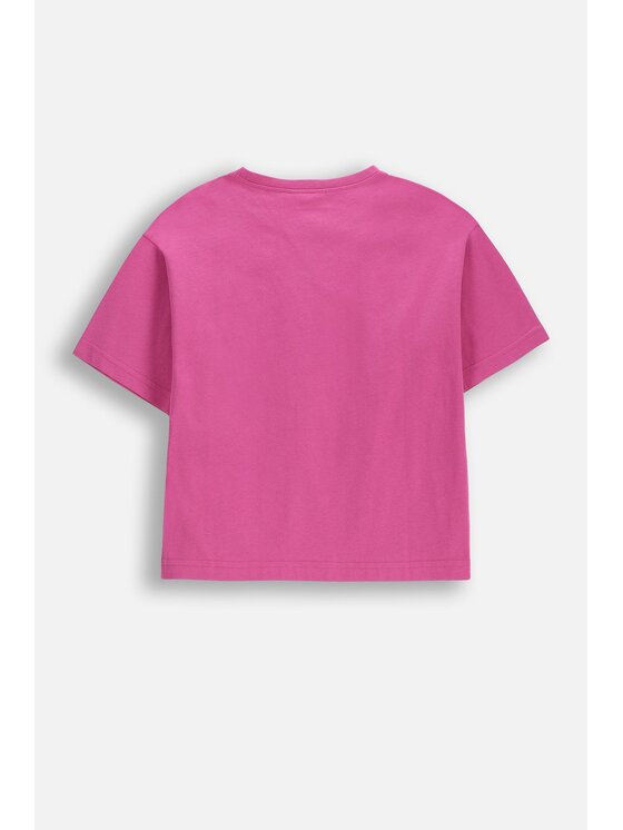 Coccodrillo Coccodrillo T-Shirt WC6143202JGK-007 Różowy Regular Fit