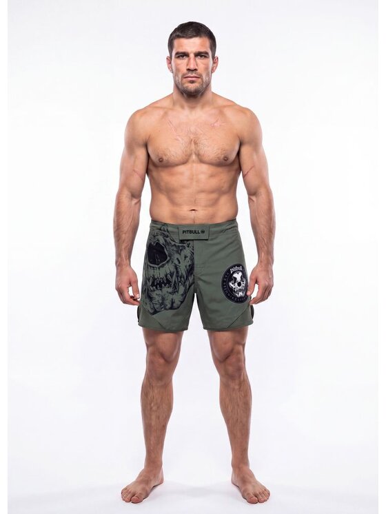 PITBULL PITBULL Szorty sportowe SKULL LOGO Szary Regular Fit