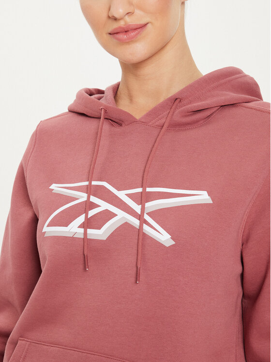 Reebok Reebok Μπλούζα Graphic OTH Hoodia 100202148 Καφέ Regular Fit