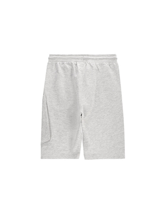 Coccodrillo Coccodrillo Szorty sportowe WC5120501VBC Szary Regular Fit