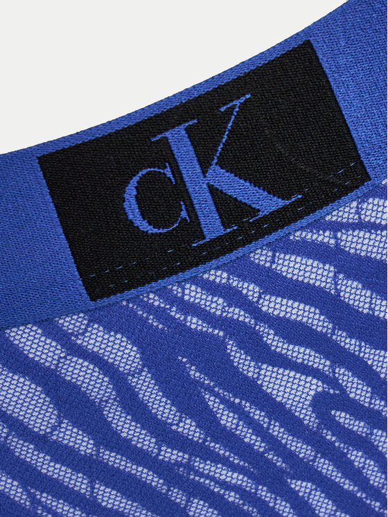 Calvin Klein Underwear Calvin Klein Underwear Klasične spodnje hlačke 000QF7379E Modra