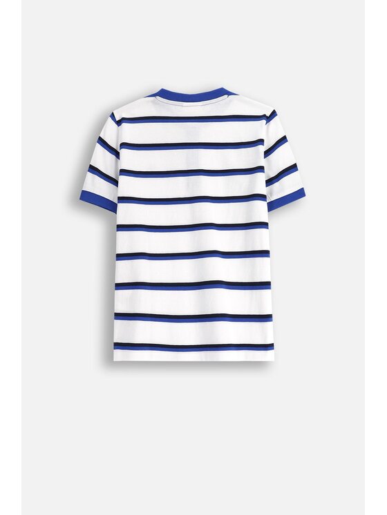 Coccodrillo Coccodrillo T-Shirt WC5143201BSB-022 Kolorowy Regular Fit