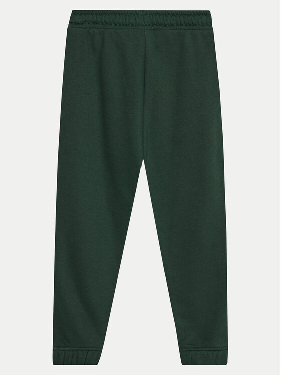 4F 4F Jogginghose 4FJWAW24TTROM759 Grün Regular Fit