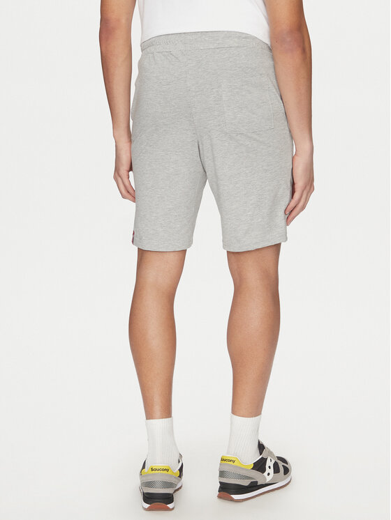 Alpha Industries Alpha Industries Pantaloni scurți sport 116366 Gri Regular Fit
