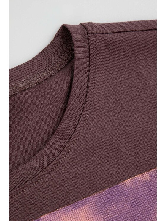 Coccodrillo Coccodrillo T-Shirt ZC6143203VGA-018 Hnědá Regular Fit