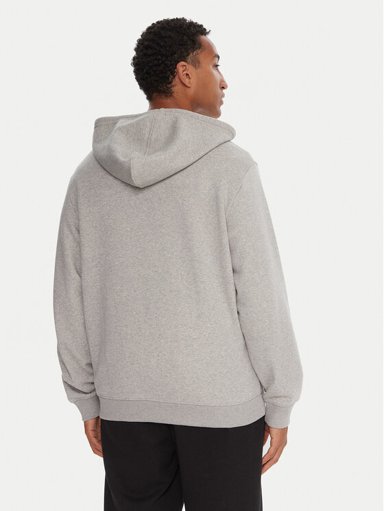 DC Shoes DC Shoes Bluza Star EDYSF03265 Szary Regular Fit
